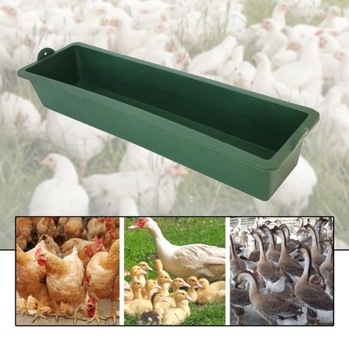 Trough chicken feeder - trough,