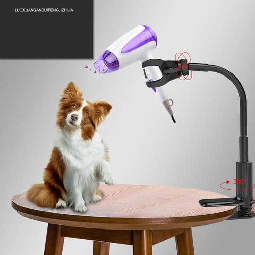 Dog pet grooming table - dog, hair