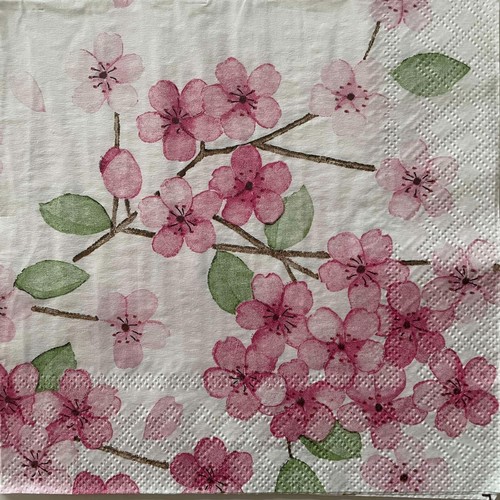 Luncheon paper napkins for - x,
