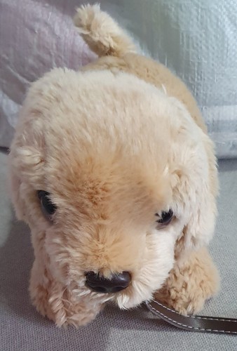 Keel labrador cream plush - labrador,