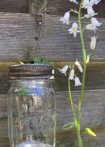 Vintage kilner jars - 1950’s, x