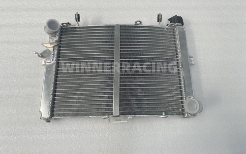 Fit 1290 super - duke, v2