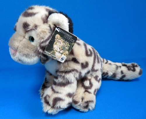 Rare snow leopard wild kitty - wild,