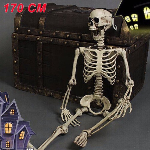 170cm poseable full - poseable, size