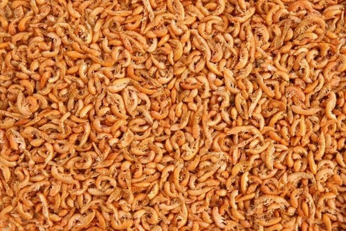 Premium freeze dried gammarus - premium,