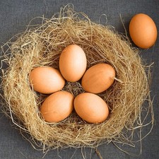 6X Weighted Dummy Chicken Eggs