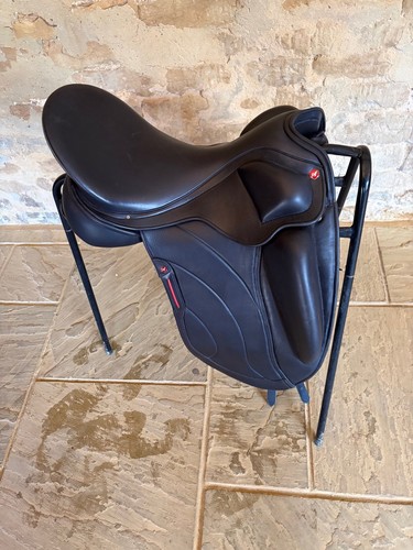 Albion revelation dressage - revelation,
