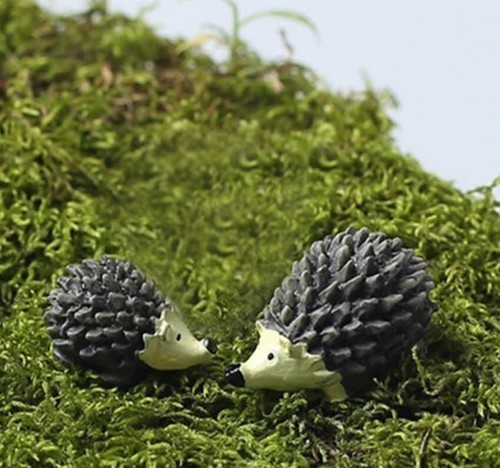 Miniature hedgehogs fairy - 2,