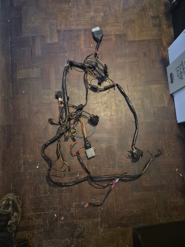 Cpi sx50 wiring loom main - sx50,