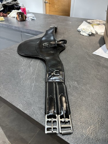Brand new stud - stud, girth