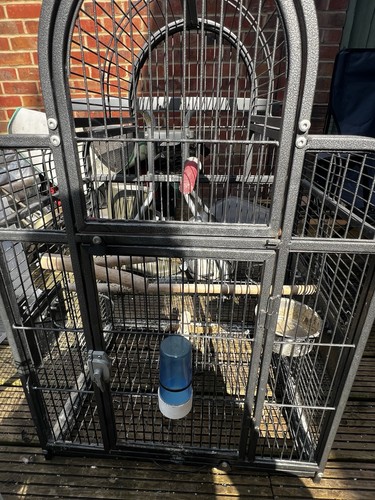 Bird cage iron solid - cage, with