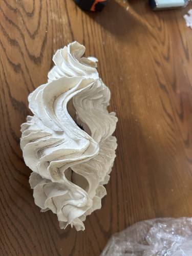 Clam shells 4 - shells, 7”by