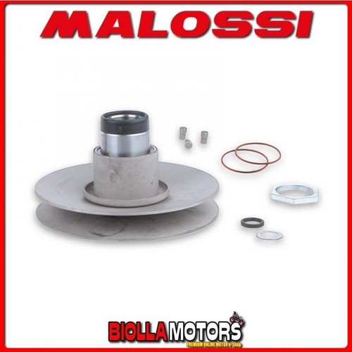 619733 malossi torque - 619733,