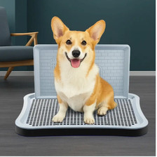 Dog Potty Training Toilet with