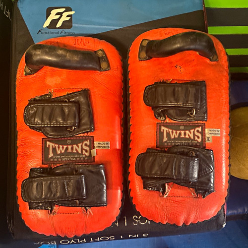 Twins special muay - muay, kick