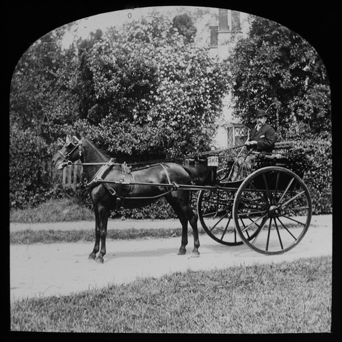Magic lantern slide pony - pony, and