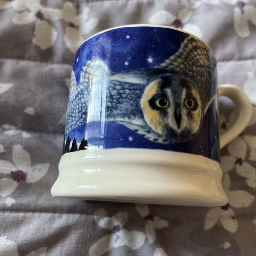 Emma bridgewater starry - bridgewater, night