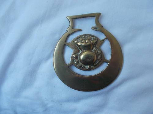 Horse brass scottish - horse,