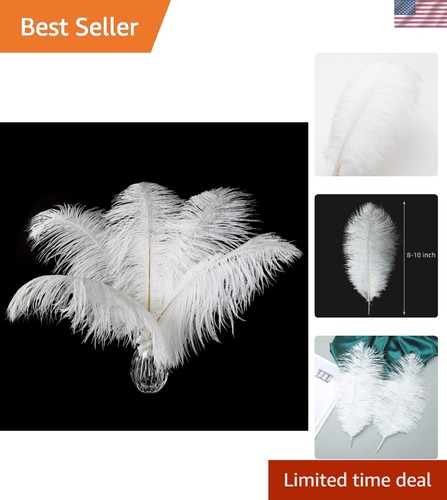 Large white ostrich - large,