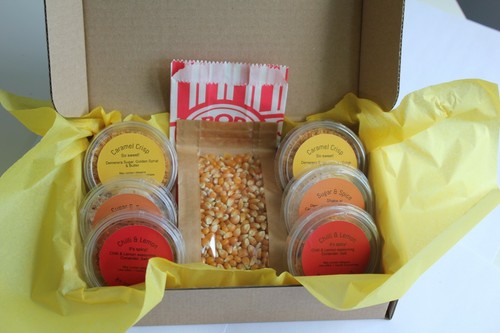 Gourmet popcorn seasoning kit - seasoning,