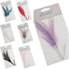 Pack of 6 Narrow Feathers - Large Colour Choice - Costume Wedding Floral Crafts