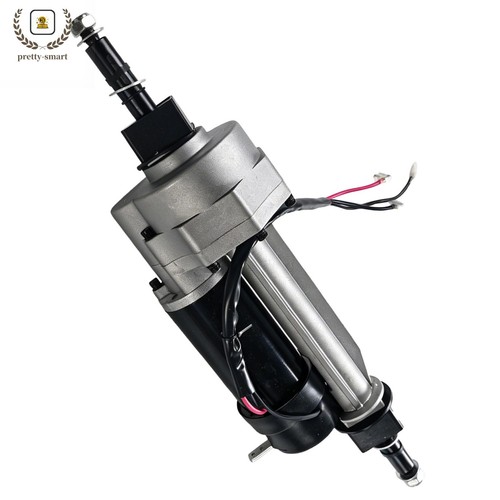 Brush electric motor - dc,