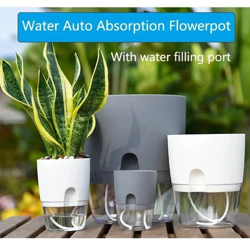 Transparent self watering - self,