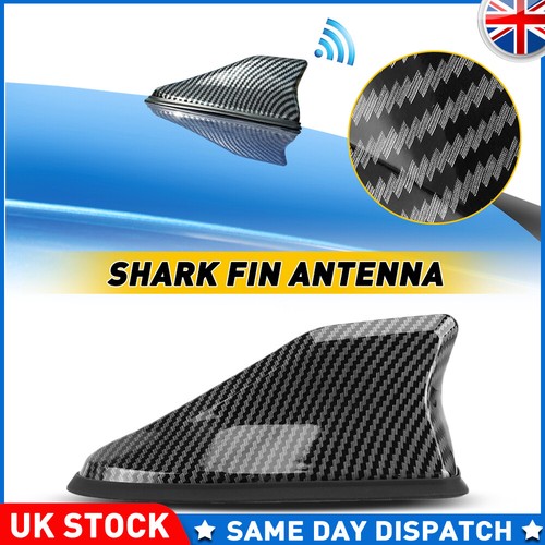 Car real carbon fiber shark - car,