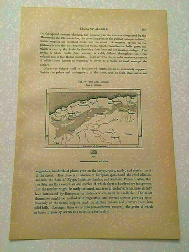 K118 map the alfra region - map,
