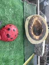 Latex and Fiberglass Mould of