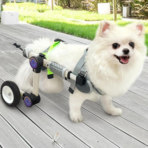Letpetrun dog wheelchair - dog,