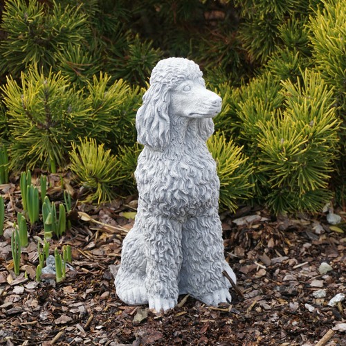Poodle dog stone - dog, figurine