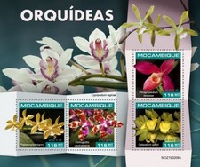 Mozambique - 2019 Orchid Flowers - 4 Stamp Sheet - MOZ190208a