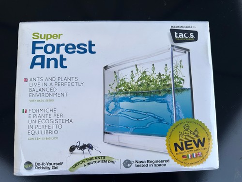 Super forest ant farm - forest,