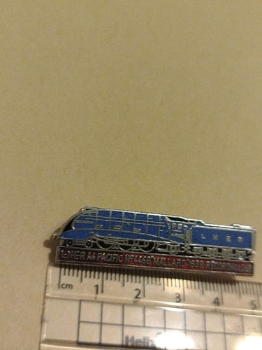 Vintage enamel train badge - enamel,