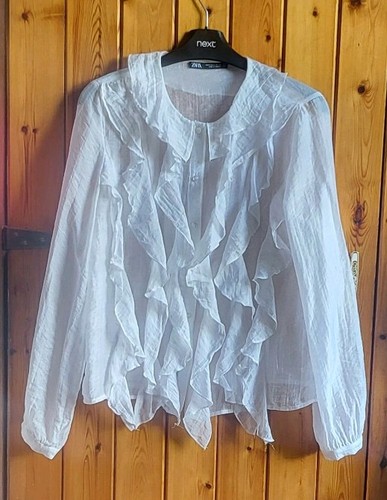 Zara semi sheer ruffled blouse - semi,