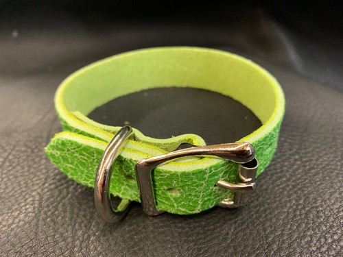Dog collar distressed lime - dog,