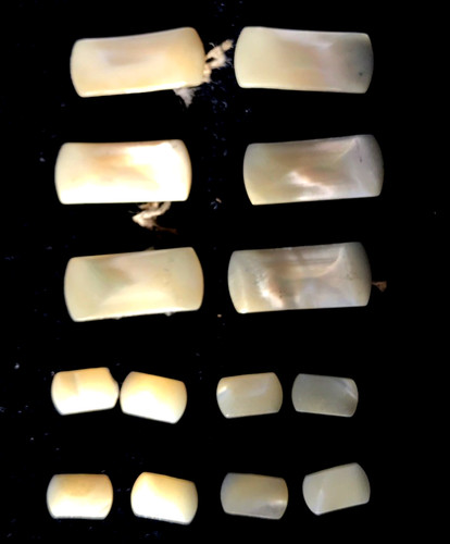 Vintage mother pearl - vintage,