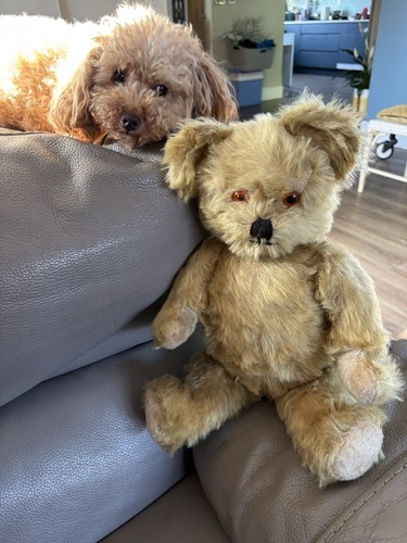 Vintage bear possible chiltern - bear,