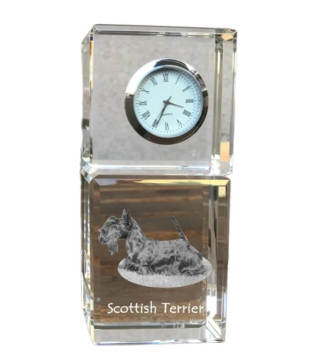 Scottish terrier aberdeen - scottish, terrier,