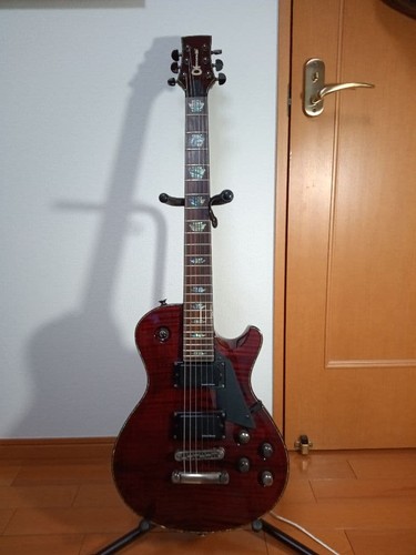 Charvel electric guitar ds1 - electric,
