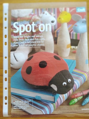 Spot cute ladybird toy - spot,