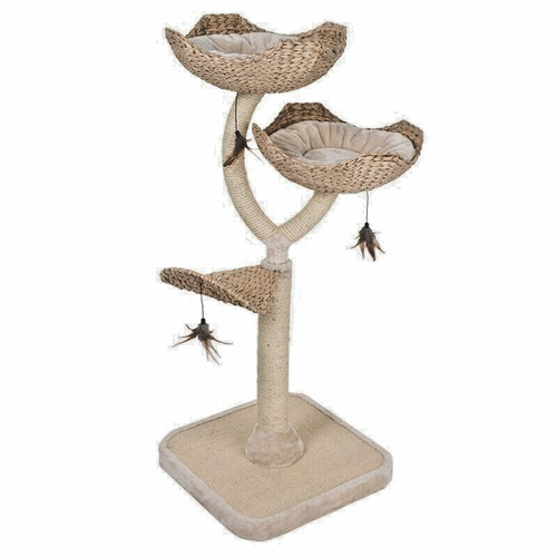 Flower cat tree water hyacinth - flower,