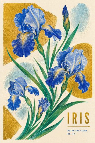 Instrukcjascribe iris - 47., instrukcjascribe_iris