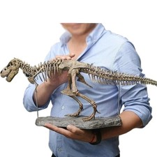 Large Diy Dinosaur Skeleton