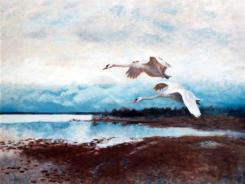 Birds swans lake liljefors - swans,