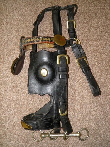 Antique black leather shire - black,