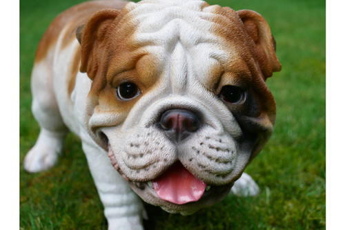Large british bulldog - large,
