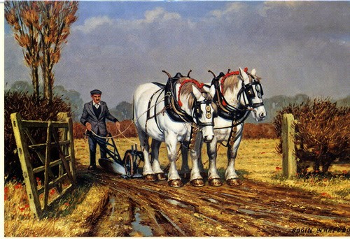 Prize team pair - team',