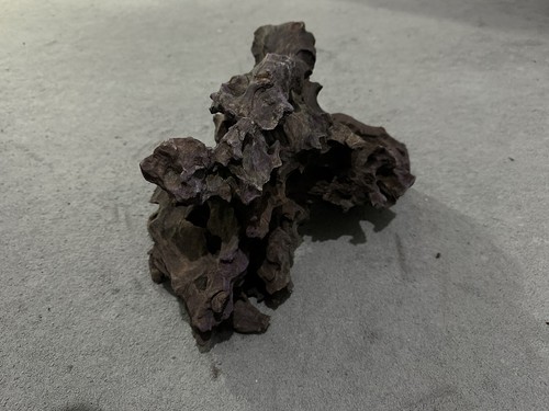 Large ancient root - large, wood